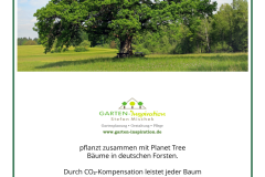 Partnerurkunde Planet-Tree